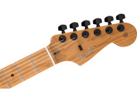 Fender LTD Am Pro II Strat HSS AGN Fender LTD Am Pro II Strat HSS AGN